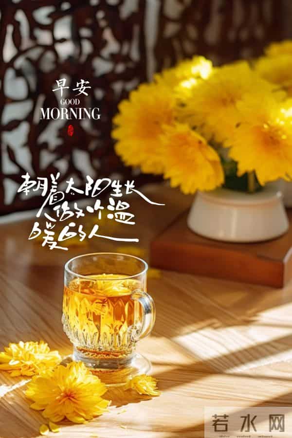 感恩节 - 精美早安图文祝福。以感恩,赴冬暖。”