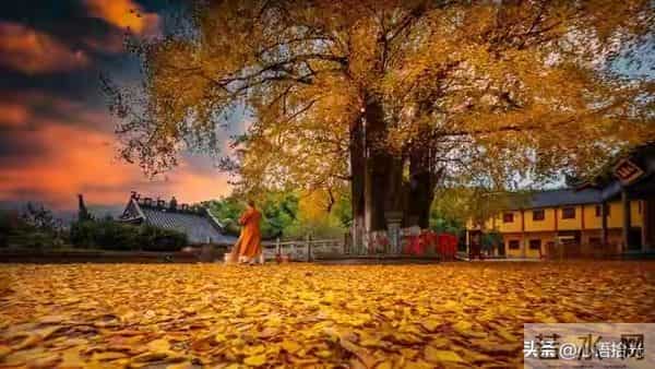 两性关系:步入晚年,女人无法抗拒的三个男人习惯,你家那位有吗