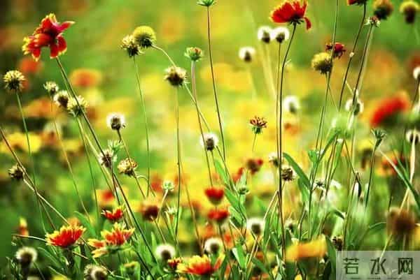 人生不只诗和远方，还有岁月沧桑，愿你心存宁静，不舍希望