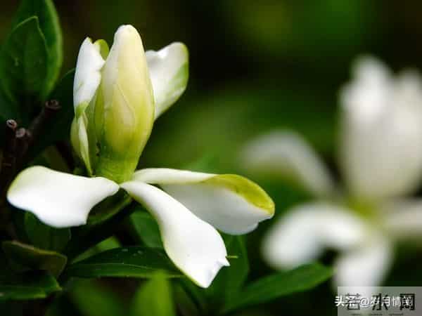 婚姻中，即便对方再优秀、再帅气，都不如找个对你依赖较少的配偶