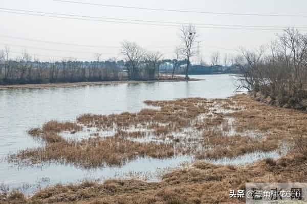 那年母亲去山上捡柴火,遇到一位老人在路边哭泣,母亲做了个决定