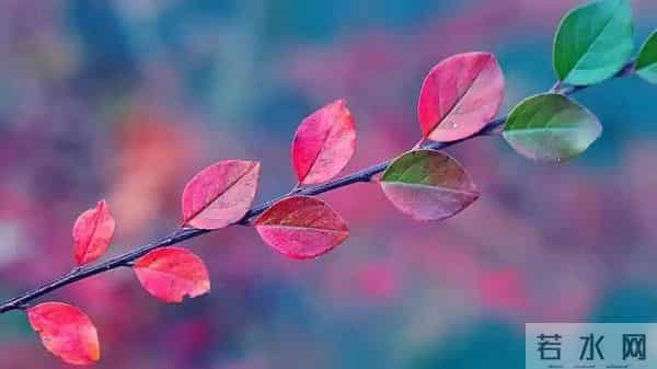 50岁以后,最好的活法不是拼命挣钱,而是守住这三样东西