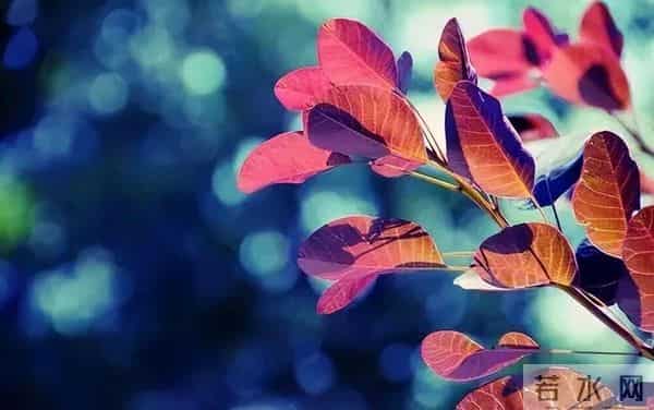 50岁以后,最好的活法不是拼命挣钱,而是守住这三样东西