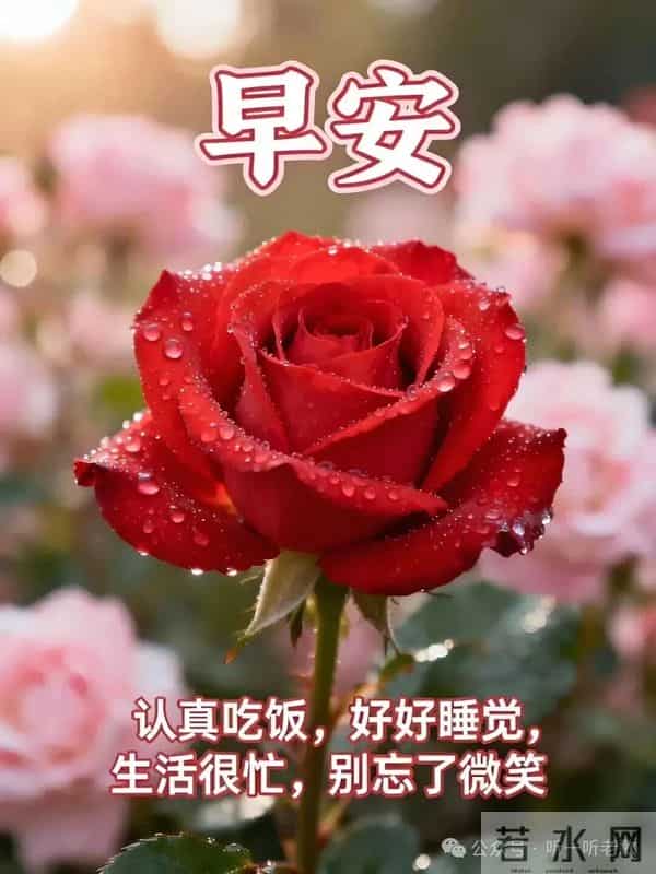2025年11月27日早上好 早安精美图片 温馨祝福 周四愉快 今日好心情