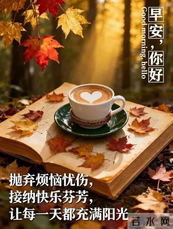 11月27日早上好 早上好清新淡雅图片 早上好图片最新今天 每日问候