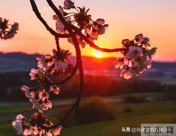 枕边人有外心后,只要原配清醒,背叛者的结局就这两种