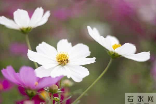 真正的狠人,报复一个人从不动声色,用这3个方法,让他自食其果