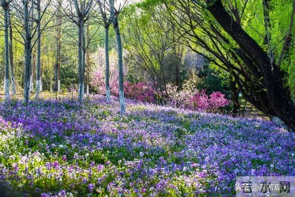 女人到了中年要明白：其实爱不爱已经不重要了，男人而已