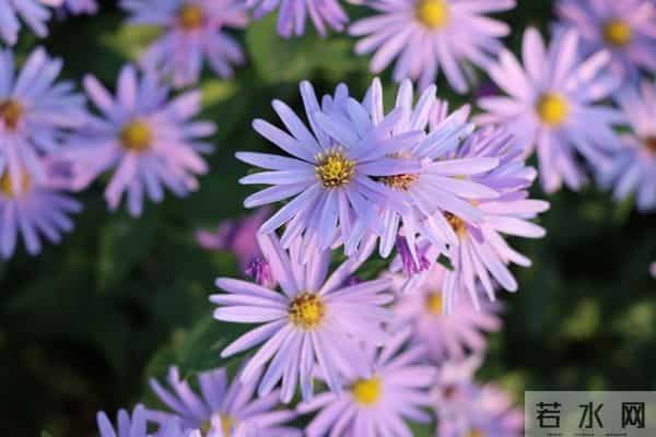 家出贵人，必有征兆：一个家庭出现这3个征兆，说明要走大运了