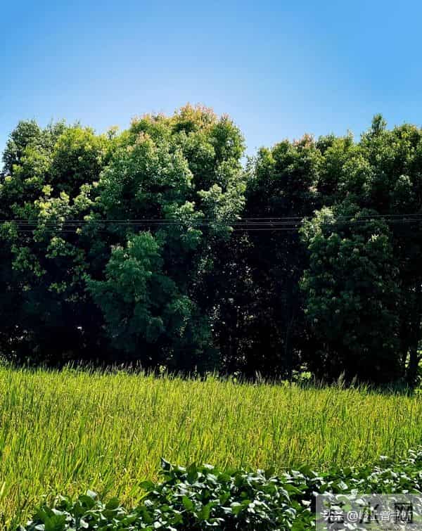 老了才悟透：人生没有什么放不下的，一切都是最好的安排