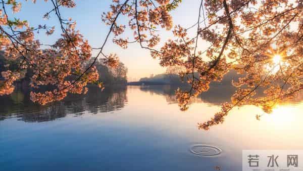 活到四十才懂，别人的嘴是砒霜还是空气全看你心态