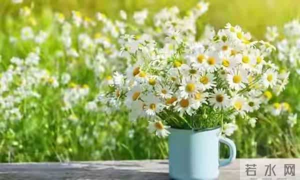 两性关系,65女人大实话,男人过了70岁,只剩下一个用处