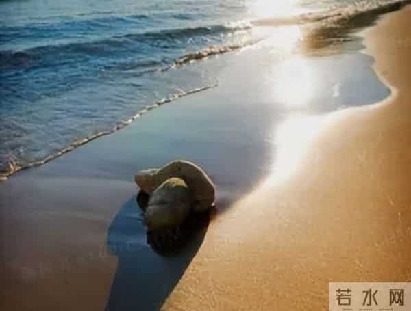 当生活不堪重负，更要自寻乐趣-13个让你迅速快乐起来的方式