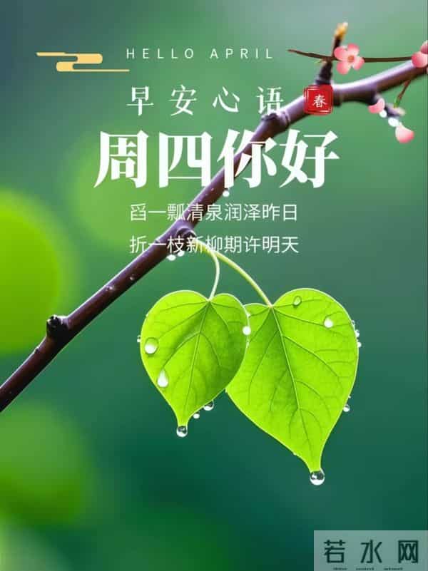 周四愉快!愿你不慌不忙,向阳生长,活成自己喜欢的样子!