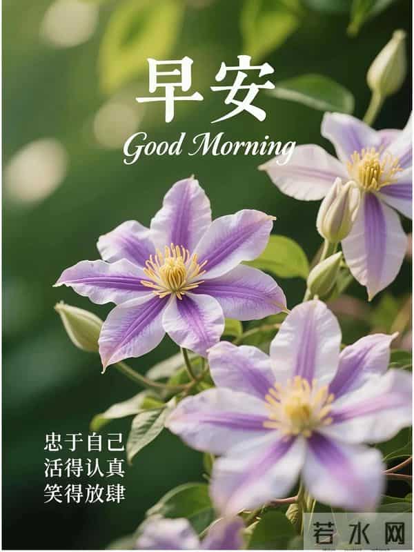 11月27日早上好 早上好清新淡雅图片 早安问候图片最新今天