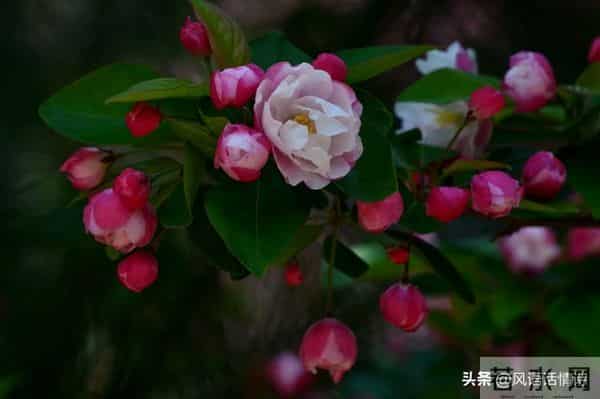 揭秘：女人喜不喜欢你，看她抗不抗拒这几个动作就够了