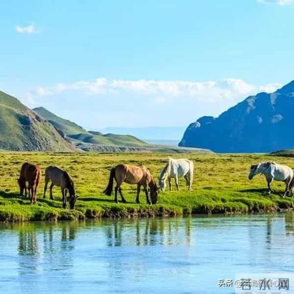 两性关系：为什么退休后夫妻之间，比年轻时更容易发生争吵？