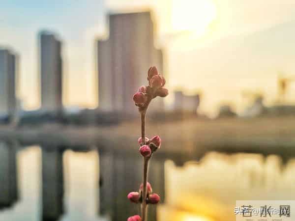 从明天起,你的人生将开启全新篇章,信不信由你!