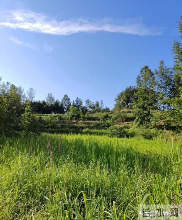 老了才悟透：人生没有什么放不下的，一切都是最好的安排