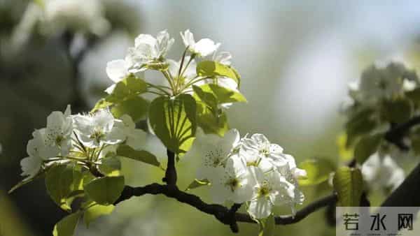 退休跟前夫离婚被儿子说自私,5200退休金不帮他,余生只想活自己