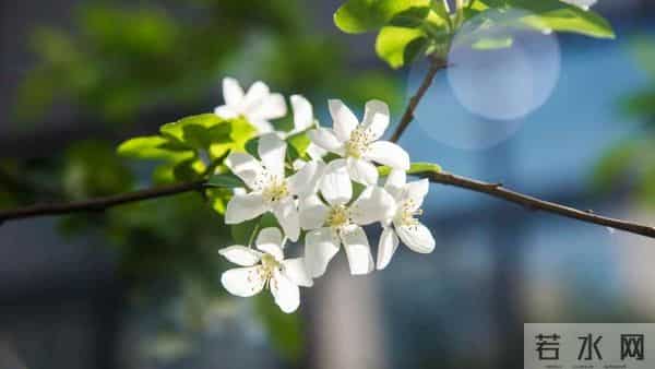 76岁老人坦言：人老了根本不需要养老！每天找些事做晚年不靠子女