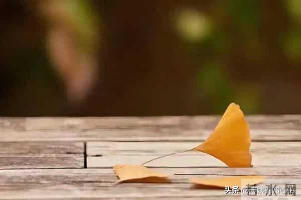 性格太软的你一定要懂:对付一个人,吵没用翻脸没用、沉默更没用