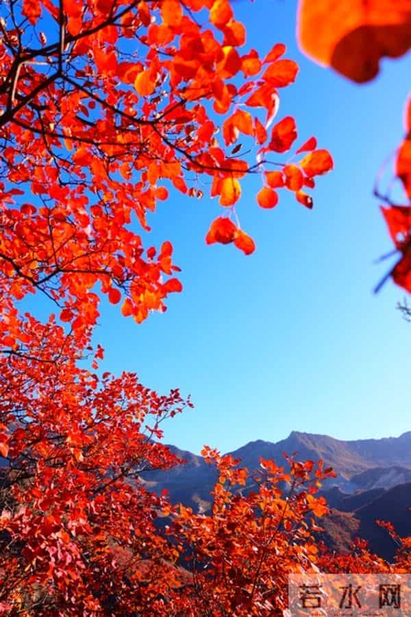 情感铁律:生理性喜欢,一辈子不会超过2次