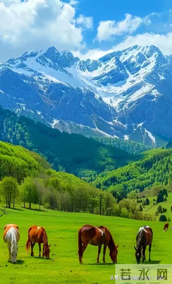 心有清静,万物生长:与生活温柔周旋的智慧