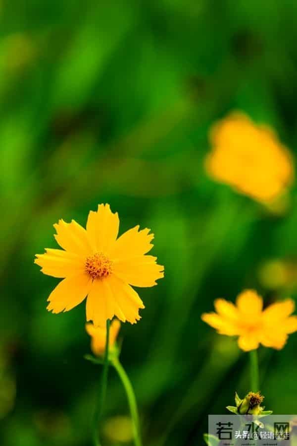 从我家五年的变化,明白一个真相:儿媳,就是一个家庭最好的风水