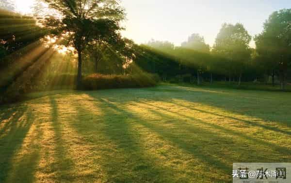 别以为善良是软弱,厚道人不计较,但老天从不偏袒任何人!