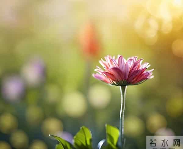 真正的狠人,报复一个人从不动声色,用这3个方法,让他自食其果