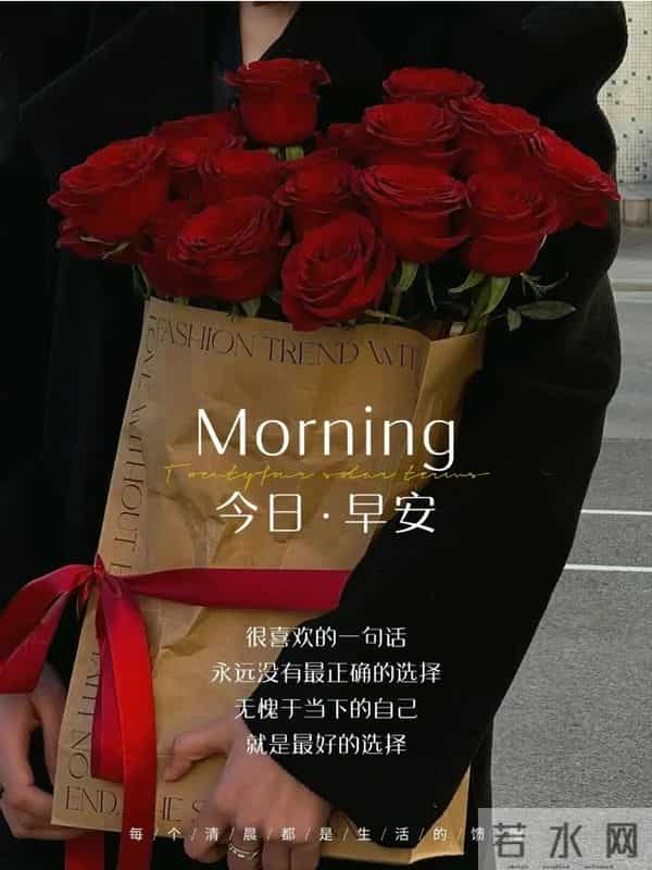 11月27日早上好 早上好清新淡雅图片 早安问候图片最新今天