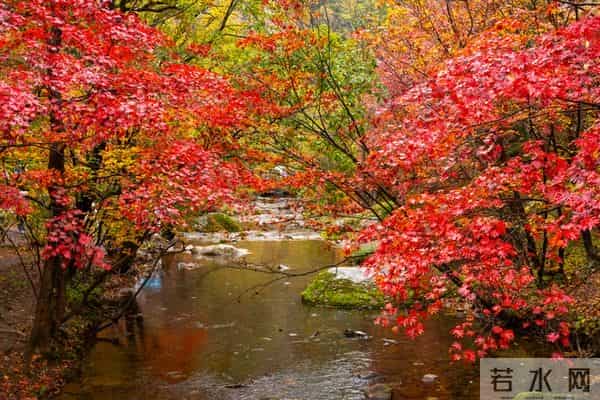 和兄弟姐妹翻脸后,还要不要来往?一“过来人”的答案,字字扎心