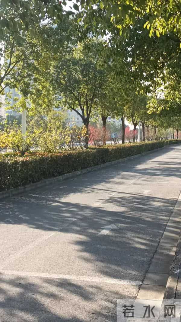 抑郁良药：不纠结