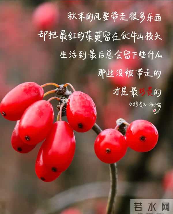 11月27日早上好 早上好清新淡雅图片 早安问候图片最新今天