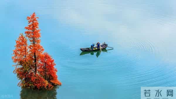 《人民日报》金句摘抄:句句精辟,句句在理,句句入心