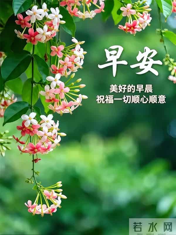 2025年11月27日，星期四，农历十月初八，早安吉祥祝福语！