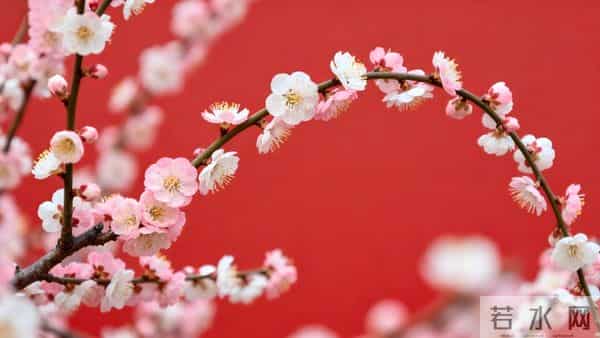 两性关系:女人不愿靠近你?多半是你踩了这 4 个 “触碰雷区”