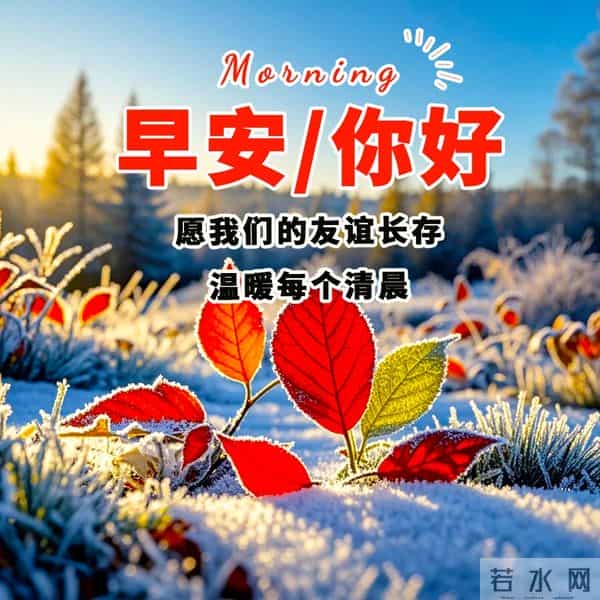 在晨曦中，我们怀揣着情谊与期许，迎接新的一天。早安！