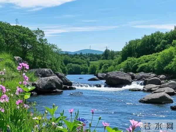 走过半生才懂:青丝渐白,岁月不饶人,原来都是生活的温柔注脚
