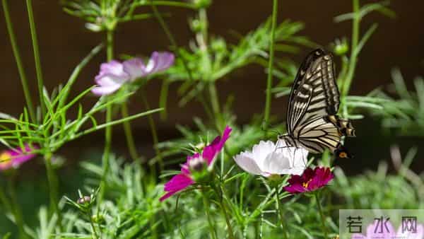 人老了才懂:儿女不孝从不是突然的,都是早年埋下的因果