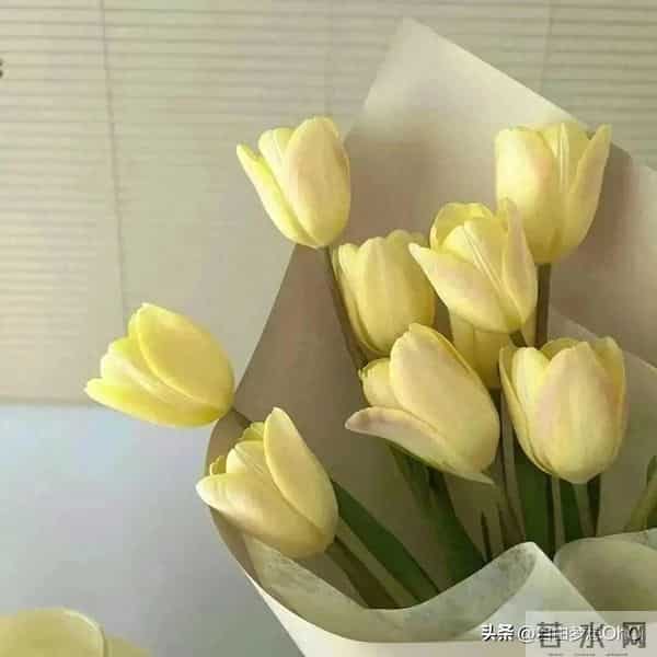 大叔最妒嫉的星座