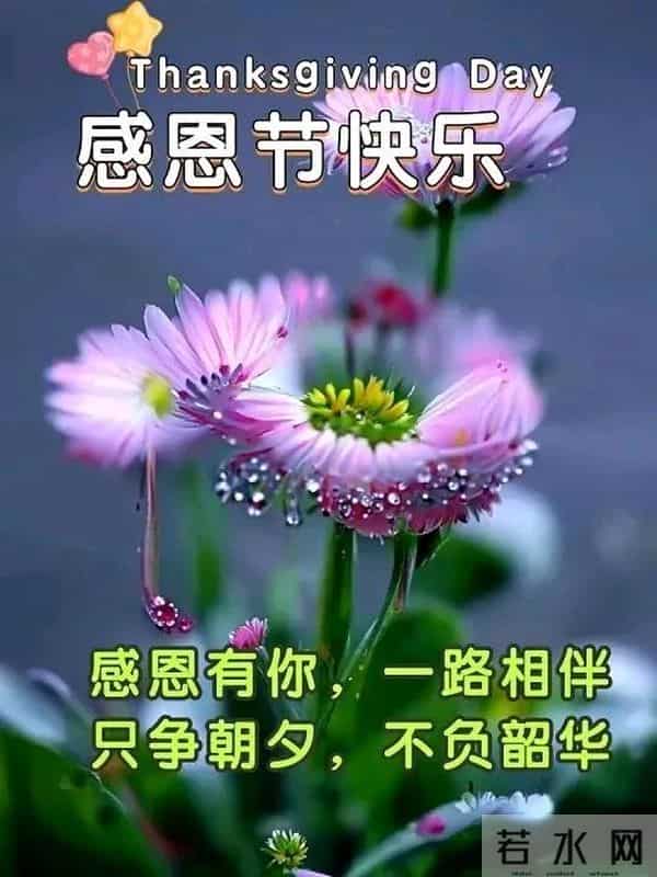 每日一首:晨起寄语,周四冬日暖