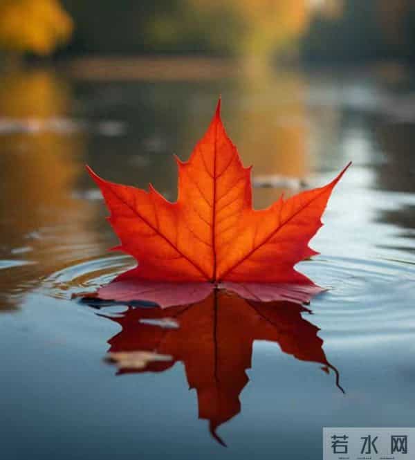 爱到入骨的情书，想你不分昼夜不褪色。