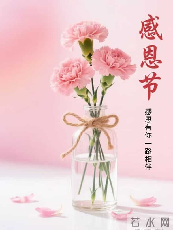 感恩有你,一路相伴,适合朋友圈的感恩节文案,愿岁月温柔!