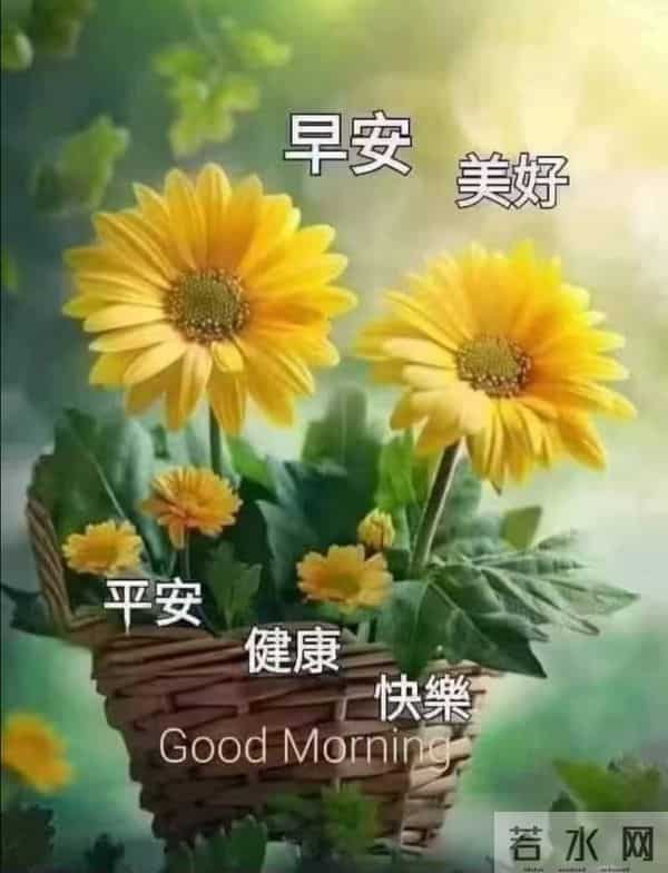 与晨光相拥,道一声温柔早安