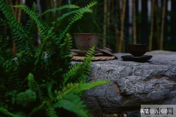 老了才明白：同这5种人断交，不是无情，亦不是高傲，而是远见