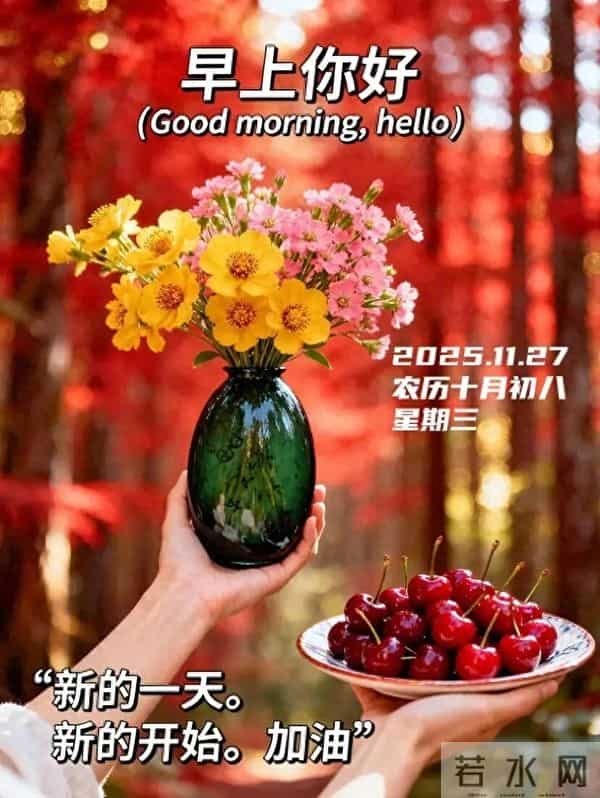 11月27日早上好 早上好清新淡雅图片 早上好图片最新今天 每日问候