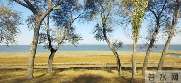 若亲戚不来往了,别怪人情淡!老祖宗的话句句扎心