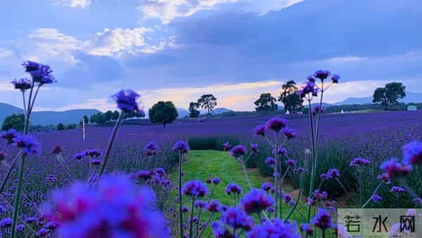 人生醒悟，世上本无事，庸人自扰之！
